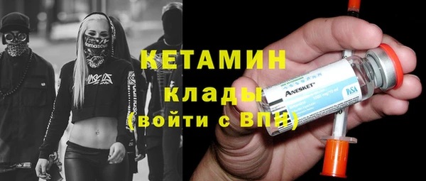 твердый Пересвет