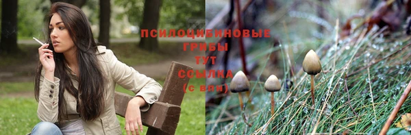 ECSTASY Балабаново