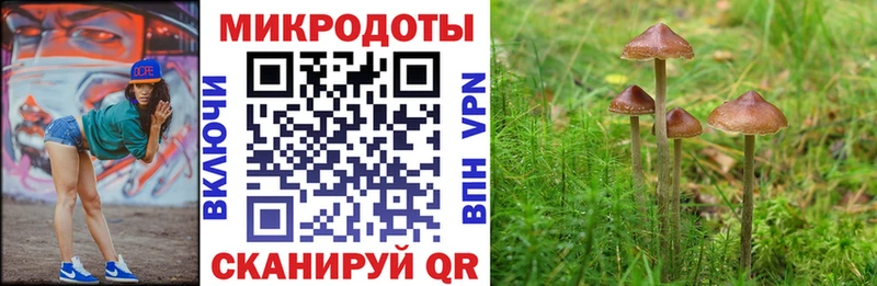 Галлюциногенные грибы мицелий  купить наркотик  Чехов 